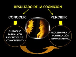 RESULTADO DE LA COGNICION
CONOCER PERCIBIR
EL PROCESO
PARCIAL CON
PRODUCTOS DEL
CONOCIMIENTO
PROCESO PARA LA
CONSTRUCCIÓN
NEUROCEREBRAL
 