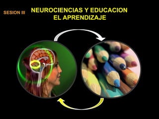 NEUROCIENCIAS Y EDUCACION
EL APRENDIZAJE
SESION III
 