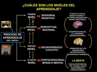 PROCESO DE
APRENDIZAJE
(NO LINEAL)
PRIMER
NIVEL
SEGUNDO
NIVEL
CUARTO
NIVEL
SENSORIAL
SENSITIVO
PERCEPTUAL
RACIONAL
NEUROPSÍQUICO
(COGNITIVO)
CONFIGURACIONAL
MODELO MENTAL
CONTACTO CON EL
MUNDO INTERNO Y
EXTERNO (SENSIBILIDAD
MUNDO EMOCIONAL)
INTERPRETACIÓN DE
LO SENSORIAL
(MUNDO RACIONAL)
FORMACION DE LOS
SUBSISTEMAS
NEUROPSÍQUICOS:
(INTEGRACIÓN CEREBRAL)
VINCULACIÓN MENTAL
DEL POSIBLE NUEVO
CONOCIMIENTO Y
COMPORTAMIENTO
TERCER
NIVEL
LA MENTE
¿CUÁLES SON LOS NIVELES DEL
APRENDIZAJE?
 