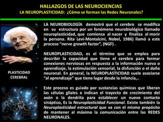 PLASTICIDAD
CEREBRAL
• LA NEUROBIOLOGÍA demostró que el cerebro se modifica
en su estructura por un fenómeno neurobiológico llamado
neuroplasticidad, que comienza al nacer y finaliza al morir
la persona. Rita Levi-Montalcini, Nobel, 1986) llamó a este
proceso “nerve growth factor”, (NGF) .
• NEUROPLASTICIDAD, es el término que se emplea para
describir la capacidad que tiene el cerebro para formar
conexiones nerviosas en respuesta a la información nueva o
aprendizaje, la estimulación sensorial, la disfunción o el daño
neuronal. En general, la NEUROPLASTICIDAD suele asociarse
“al aprendizaje” que tiene lugar desde la infancia,..
• Este proceso es guiado por sustancias químicas que liberan
las células gliales e indican el trayecto de crecimiento del
axón o la dendrita para establecer un nuevo contacto
sináptico, Es la Neuroplasticidad Funcional. Existe también la
Neuroplasticidad estructural que va con el mismo propósito
de mantener al máximo la comunicación entre las REDES
NEURONALES.
HALLAZGOS DE LAS NEUROCIENCIAS
LA NEUROPLASTICIDAD: ¿Cómo se forman las Redes Neuronales?
 