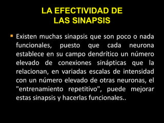 LA EFECTIVIDAD DE
LAS SINAPSIS
 Existen muchas sinapsis que son poco o nada
funcionales, puesto que cada neurona
establece en su campo dendrítico un número
elevado de conexiones sinápticas que la
relacionan, en variadas escalas de intensidad
con un número elevado de otras neuronas, el
"entrenamiento repetitivo", puede mejorar
estas sinapsis y hacerlas funcionales..
 