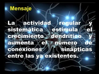 La actividad regular y
sistemática estimula el
crecimiento dendrítico y
aumenta el número de
conexiones sinápticas
entre las ya existentes.
Mensaje
 