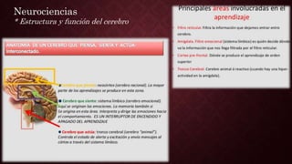 Neurociencias
* Estructura y función del cerebro
 