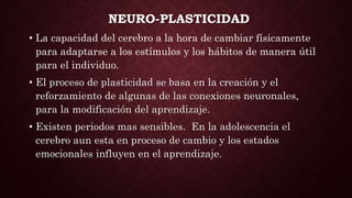NEURO-PLASTICIDAD
• La capacidad del cerebro a la hora de cambiar físicamente
para adaptarse a los estímulos y los hábitos de manera útil
para el individuo.
• El proceso de plasticidad se basa en la creación y el
reforzamiento de algunas de las conexiones neuronales,
para la modificación del aprendizaje.
• Existen periodos mas sensibles. En la adolescencia el
cerebro aun esta en proceso de cambio y los estados
emocionales influyen en el aprendizaje.
 