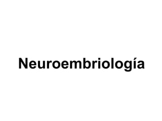 Neuroembriología 