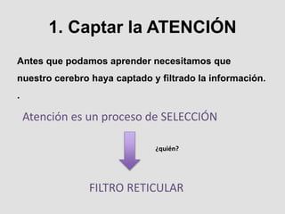 1. Captar la ATENCIÓN
Antes que podamos aprender necesitamos que
nuestro cerebro haya captado y filtrado la información.
.
Atención es un proceso de SELECCIÓN
FILTRO RETICULAR
¿quién?
 