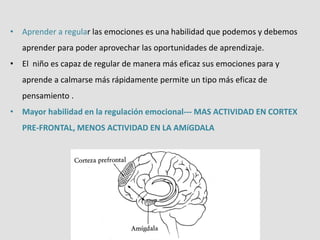 • Aprender a regular las emociones es una habilidad que podemos y debemos
aprender para poder aprovechar las oportunidades de aprendizaje.
• El niño es capaz de regular de manera más eficaz sus emociones para y
aprende a calmarse más rápidamente permite un tipo más eficaz de
pensamiento .
• Mayor habilidad en la regulación emocional--- MAS ACTIVIDAD EN CORTEX
PRE-FRONTAL, MENOS ACTIVIDAD EN LA AMíGDALA
 