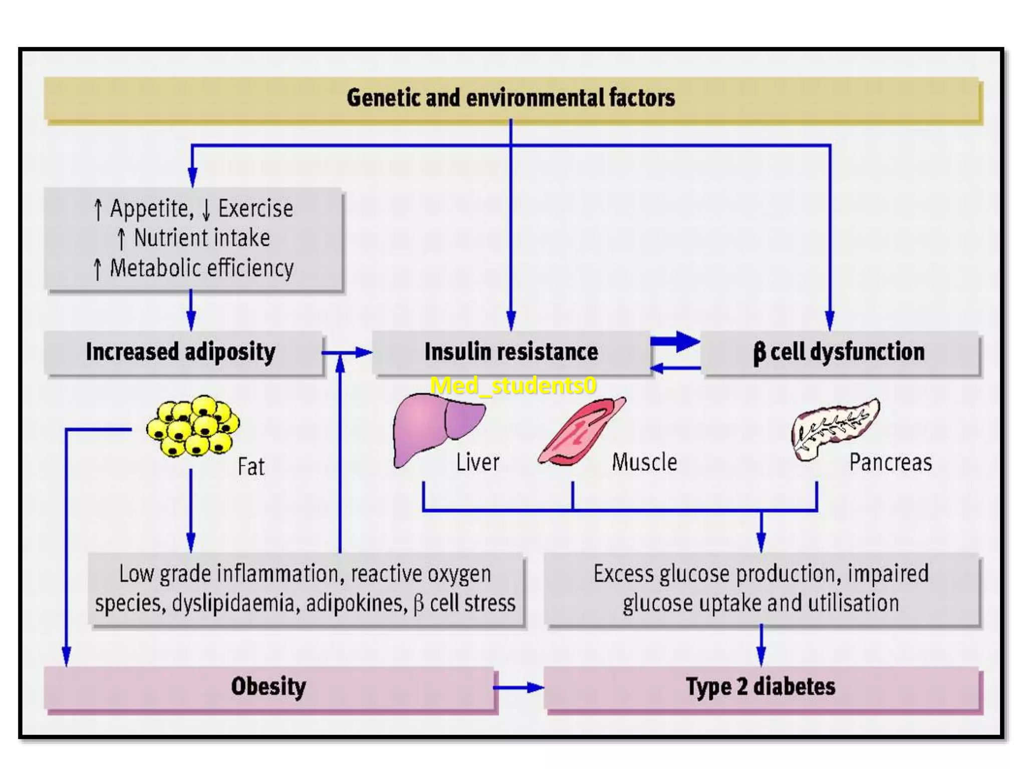 Neuroendocrine regulation of energy | PPTX