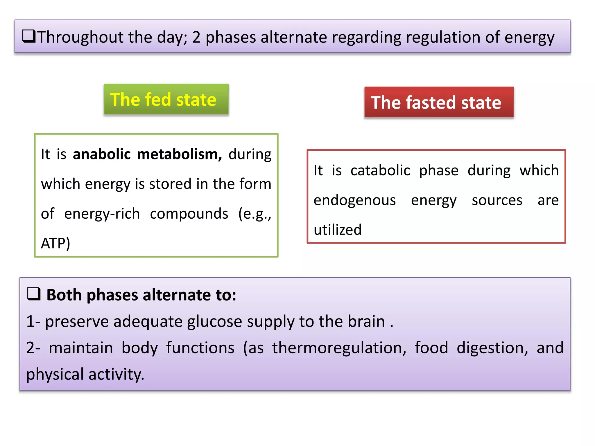 Neuroendocrine regulation of energy | PPTX
