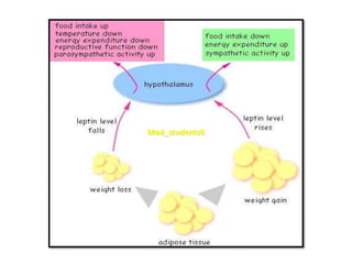 Neuroendocrine regulation of energy | PPTX