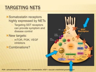 Somatostatin receptors
highly expressed by NETs
– Targeting SST receptors
can provide symptom and
disease control
New targets:
– mTOR, PI3K, VEGF
inhibitors
Combinations?
TARGETING NETS
PI3K = phosphoinositide 3-kinase; SST = somatostatin; VEGF = vascular endothelial growth factor
 