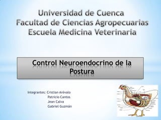Control Neuroendocrino de la
             Postura

Integrantes: Cristian Arévalo
             Patricio Cantos
             Jean Calva
             Gabriel Guzmán
 
