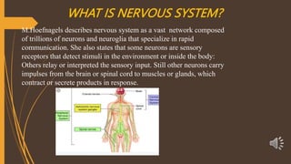 WHAT IS NERVOUS SYSTEM?
M.Hoefnagels describes nervous system as a vast network composed
of trillions of neurons and neuroglia that specialize in rapid
communication. She also states that some neurons are sensory
receptors that detect stimuli in the environment or inside the body:
Others relay or interpreted the sensory input. Still other neurons carry
impulses from the brain or spinal cord to muscles or glands, which
contract or secrete products in response.
 