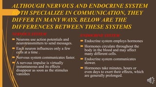 ALTHOUGH NERVOUS AND ENDOCRINE SYSTEM
BOTH SPECIALIZE IN COMMUNICATION, THEY
DIFFER IN MANY WAYS. BELOW ARE THE
DIFFERENCES BETWEEN THESE SYSTEMS
NERVOUS SYSTEM
 Neurons use action potentials and
neurotransmitters to send messages.
 Each neuron influences only a few
cells at a time .
 Nervous system communicates faster.
 A nervous impulse is virtually
instantaneous and its effects
disappear as soon as the stimulus
vanishes
ENDOCRINE SYSTEM
 Endocrine system employs hormones
 Hormones circulate throughout the
body in the blood and may affect
many different cells.
 Endocrine system communicates
slower.
 Hormones take minutes, hours or
even days to exert their effects, which
are generally prolonged.
 