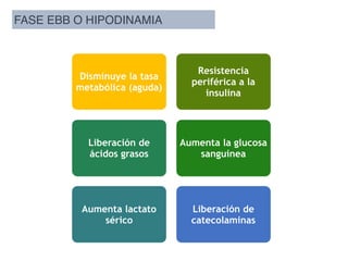 Respuesta neuroendocrina al trauma | PDF