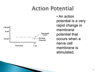 4
• An action
potential is a very
rapid change in
membrane
potential that
occurs when a
nerve cell
membrane is
stimulated.
 