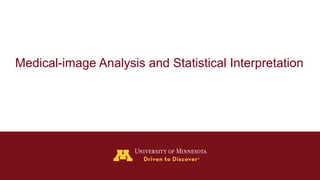 Medical-image Analysis and Statistical Interpretation
 
