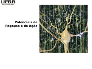 Potenciais de
Repouso e de Ação
 