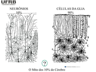 NEURÔNIOS                      CÉLULAS DA GLIA
   10%                              90%




                      ?
            O Mito dos 10% do Cérebro
 