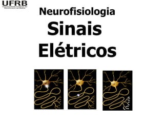 Neurofisiologia

 Sinais
Elétricos
 