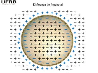 Diferença de Potencial
 