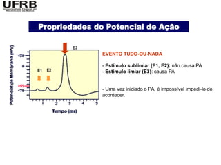 Propriedades do Potencial de Ação


              EVENTO TUDO-OU-NADA

              - Estímulo sublimiar (E1, E2): não causa PA
              - Estimulo limiar (E3): causa PA


              - Uma vez iniciado o PA, é impossível impedi-lo de
              acontecer.
 