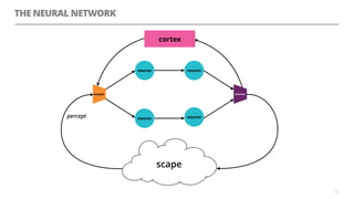 THE NEURAL NETWORK
62
neuron
neuronneuron
actuatorsensor
neuron
cortex
scape
percept
 