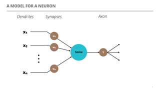 A MODEL FOR A NEURON
6
Y
w1
w2
wn
x1
x2
xn
Dendrites Synapses Axon
Soma
 
