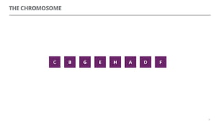 THE CHROMOSOME
30
HG FE ABC D
 
