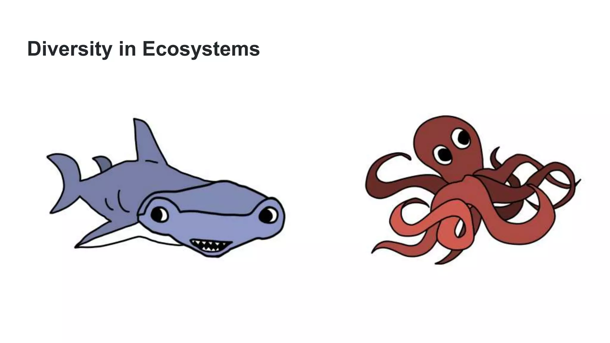 Diversity in Ecosystems
 