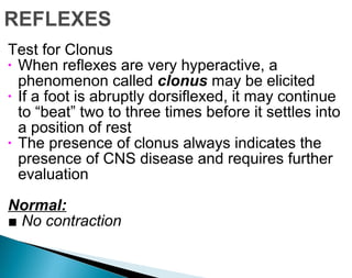 Physical Examination | PPT