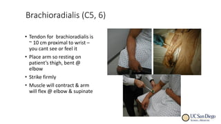 Comprehensive Neurologic Examination Techniques and Cranial Nerve ...
