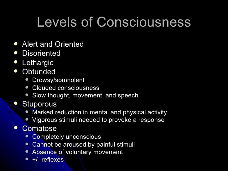 Neuro Exam Portfolio