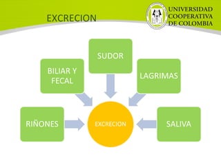 EXCRECION
 