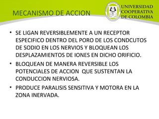 MECANISMO DE ACCION
• SE LIGAN REVERSIBLEMENTE A UN RECEPTOR
ESPECIFICO DENTRO DEL PORO DE LOS CONDCUTOS
DE SODIO EN LOS NERVIOS Y BLOQUEAN LOS
DESPLAZAMIENTOS DE IONES EN DICHO ORIFICIO.
• BLOQUEAN DE MANERA REVERSIBLE LOS
POTENCIALES DE ACCION QUE SUSTENTAN LA
CONDUCCION NERVIOSA.
• PRODUCE PARALISIS SENSITIVA Y MOTORA EN LA
ZONA INERVADA.
 