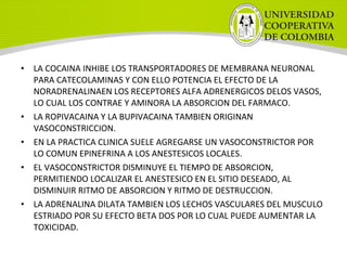 • LA COCAINA INHIBE LOS TRANSPORTADORES DE MEMBRANA NEURONAL
PARA CATECOLAMINAS Y CON ELLO POTENCIA EL EFECTO DE LA
NORADRENALINAEN LOS RECEPTORES ALFA ADRENERGICOS DELOS VASOS,
LO CUAL LOS CONTRAE Y AMINORA LA ABSORCION DEL FARMACO.
• LA ROPIVACAINA Y LA BUPIVACAINA TAMBIEN ORIGINAN
VASOCONSTRICCION.
• EN LA PRACTICA CLINICA SUELE AGREGARSE UN VASOCONSTRICTOR POR
LO COMUN EPINEFRINA A LOS ANESTESICOS LOCALES.
• EL VASOCONSTRICTOR DISMINUYE EL TIEMPO DE ABSORCION,
PERMITIENDO LOCALIZAR EL ANESTESICO EN EL SITIO DESEADO, AL
DISMINUIR RITMO DE ABSORCION Y RITMO DE DESTRUCCION.
• LA ADRENALINA DILATA TAMBIEN LOS LECHOS VASCULARES DEL MUSCULO
ESTRIADO POR SU EFECTO BETA DOS POR LO CUAL PUEDE AUMENTAR LA
TOXICIDAD.
 