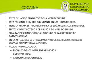 COCAINA
• ESTER DEL ACIDO BENZOICO Y DE LA METILECGONINA
• ESTA PRESENTE DE MODO ABUNDANTE EN LAS HOJAS DE COCA.
• TIENE LA MISMA ESTRUCTURA BASICA DE LOS ANESTESICOS SINTETICOS.
• SU TOXICIDAD Y POTENCIA DE ABUSO A DISMINUIDO SU USO
• SU ALTA TOXICIDAD SE DEBE AL BLOQUEO DE LA CAPTACION DE
CATECOLAMINAS
• EN LA ACTUALIDAD SE UTILIZA PARA PRODUCIR ANESTESIA TOPICA DE
LAS VIAS RESPIRATORIAS.SUPERIOR.
• ACCION FARMACOLOGICA
– BLOQUEO DE LOS IMPULSOS NERVIOSOS
– ANESTESIA LOCAL
– VASOCONSTRICCION LOCAL
 