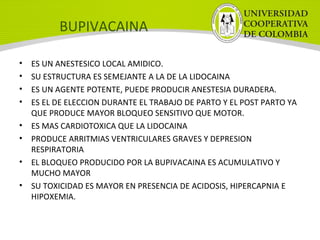 BUPIVACAINA
• ES UN ANESTESICO LOCAL AMIDICO.
• SU ESTRUCTURA ES SEMEJANTE A LA DE LA LIDOCAINA
• ES UN AGENTE POTENTE, PUEDE PRODUCIR ANESTESIA DURADERA.
• ES EL DE ELECCION DURANTE EL TRABAJO DE PARTO Y EL POST PARTO YA
QUE PRODUCE MAYOR BLOQUEO SENSITIVO QUE MOTOR.
• ES MAS CARDIOTOXICA QUE LA LIDOCAINA
• PRODUCE ARRITMIAS VENTRICULARES GRAVES Y DEPRESION
RESPIRATORIA
• EL BLOQUEO PRODUCIDO POR LA BUPIVACAINA ES ACUMULATIVO Y
MUCHO MAYOR
• SU TOXICIDAD ES MAYOR EN PRESENCIA DE ACIDOSIS, HIPERCAPNIA E
HIPOXEMIA.
 