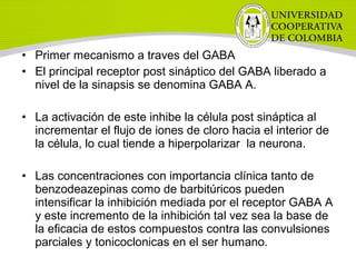• Primer mecanismo a traves del GABA
• El principal receptor post sináptico del GABA liberado a
nivel de la sinapsis se denomina GABA A.
• La activación de este inhibe la célula post sináptica al
incrementar el flujo de iones de cloro hacia el interior de
la célula, lo cual tiende a hiperpolarizar la neurona.
• Las concentraciones con importancia clínica tanto de
benzodeazepinas como de barbitúricos pueden
intensificar la inhibición mediada por el receptor GABA A
y este incremento de la inhibición tal vez sea la base de
la eficacia de estos compuestos contra las convulsiones
parciales y tonicoclonicas en el ser humano.
 