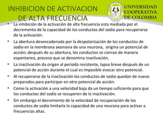 INHIBICION DE ACTIVACION
DE ALTA FRECUENCIA
• La inhibición de la activación de alta frecuencia esta mediada por el
decremento de la capacidad de los conductos del sodio para recuperarse
de la activación.
• La abertura desencadenada por la despolarización de los conductos de
sodio en la membrana axoniana de una neurona, origina un potencial de
acción; después de su abertura, los conductos se cierran de manera
espontanea, proceso que se denomina inactivación.
• La inactivación da origen al periodo resistente, lapso breve después de un
potencial de acción durante el cual es imposible evocar otro potencial.
• Al recuperarse de la inactivación los conductos de sodio quedan de nuevo
preparados para participar en otro potencial de acción.
• Como la activación a una velocidad baja da un tiempo suficiente para que
los conductos del sodio se recuperen de la inactivación.
• Sin embargo el decremento de la velocidad de recuperación de los
conductos de sodio limitaría la capacidad de una neurona para activar a
frecuencias altas.
 