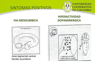 SINTOMAS POSITIVOS
VIA MESOLIMBICA
HIPERACTIVIDAD 
DOPAMINERGICA
Area tegmental ventral
Nucleo acumbens
 
