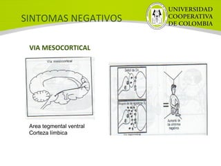 SINTOMAS NEGATIVOS
VIA MESOCORTICAL
Area tegmental ventral
Corteza límbica
 