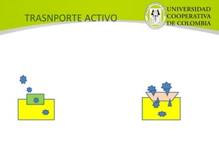 TRASNPORTE ACTIVO
 