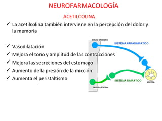 NEUROFARMACOLOGÍA
                          ACETILCOLINA
 La acetilcolina también interviene en la percepción del dolor y
  la memoria

 Vasodilatación
 Mejora el tono y amplitud de las contracciones
 Mejora las secreciones del estomago
 Aumento de la presión de la micción
 Aumenta el peristaltismo
 