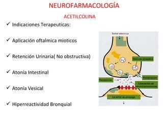NEUROFARMACOLOGÍA
                         ACETILCOLINA
 Indicaciones Terapeuticas:

 Aplicación oftalmica mioticos

 Retención Urinaria( No obstructiva)

 Atonía Intestinal

 Atonía Vesical

 Hiperreactividad Bronquial
 