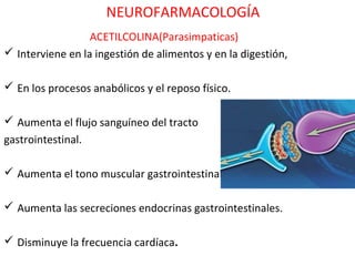 NEUROFARMACOLOGÍA
                  ACETILCOLINA(Parasimpaticas)
 Interviene en la ingestión de alimentos y en la digestión,

 En los procesos anabólicos y el reposo físico.

 Aumenta el flujo sanguíneo del tracto
gastrointestinal.

 Aumenta el tono muscular gastrointestinal.

 Aumenta las secreciones endocrinas gastrointestinales.

 Disminuye la frecuencia cardíaca.
 
