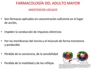 FARMACOLOGÍA DEL ADULTO MAYOR
                      ANESTESICOS LOCALES

• Son fármacos aplicados en concentración suficiente en el lugar
  de acción,

• Impiden la conducción de impulsos eléctricos

• Por las membranas del nervio y el músculo de forma transitoria
  y predecible

• Pérdida de la conciencia, de la sensibilidad

• Perdida de la motilidad y de los reflejos
 