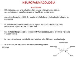 NEUROFARMACOLOGÍA
                                  HALOTANO
• El halotano posee una solubilidad en sangre relativamente baja las
  concentraciones alveolos/sangre se equilibran rápidamente

• Aproximadamente el 80% del halotano inhalado se elimina inalterado por los
  pulmones

• El 20% restante se metaboliza en el hígado por la vía oxidativa y, bajo
  condiciones hipóxicas, por la reductiva.

• Los metabolitos principales son ácido trifluoroacético, sales bromuro y cloruro
  y sales fluoruro

• La concentración de metabolitos es máxima a las 24 horas tras la cirugía

• Se eliminan por excreción renal durante la siguiente
 semana.
 