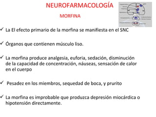 NEUROFARMACOLOGÍA
                            MORFINA

 La El efecto primario de la morfina se manifiesta en el SNC

 Órganos que contienen músculo liso.

 La morfina produce analgesia, euforia, sedación, disminución
  de la capacidad de concentración, náuseas, sensación de calor
  en el cuerpo

 Pesadez en los miembros, sequedad de boca, y prurito

 La morfina es improbable que produzca depresión miocárdica o
  hipotensión directamente.
 