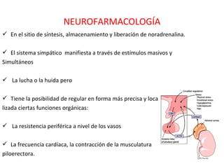 NEUROFARMACOLOGÍA
 En el sitio de síntesis, almacenamiento y liberación de noradrenalina.

 El sistema simpático manifiesta a través de estímulos masivos y
Simultáneos

 La lucha o la huida pero

 Tiene la posibilidad de regular en forma más precisa y loca
lizada ciertas funciones orgánicas:

 La resistencia periférica a nivel de los vasos

 La frecuencia cardíaca, la contracción de la musculatura
piloerectora.
 